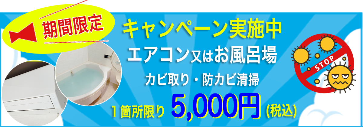 キャンペーン実施中
